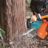Aku řetězová pila 300 mm Li-ion XGT 40V bez aku Makita UC014GZ