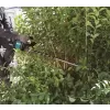Aku plotostřih 600mm Li-ion XGT 2x40V/4,0Ah Makita UH006GM201